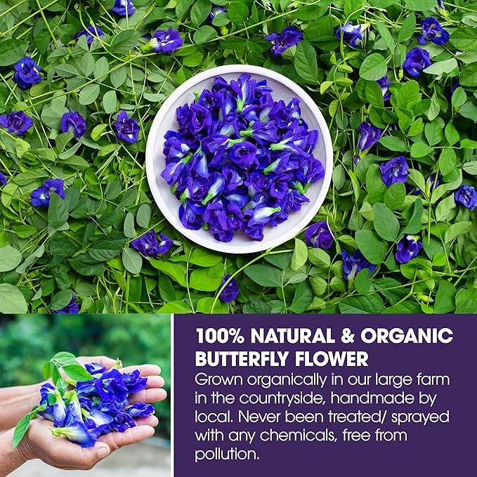KEYXE - Organic Butterfly Pea Flowers Tea Bags, 100% CERTIFIED Organic and Pure from Butterfly Pea Flower Dried, Herbal Flower Tea for Relaxation, Mocktails, and Natural Food Coloring, Caffeine-Free, Sugar-Free, Non-GMO- ( 30 teabags )