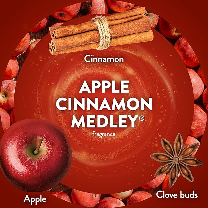 Air Wick Scented Oils 0+10 Apple Cinnamon Medley