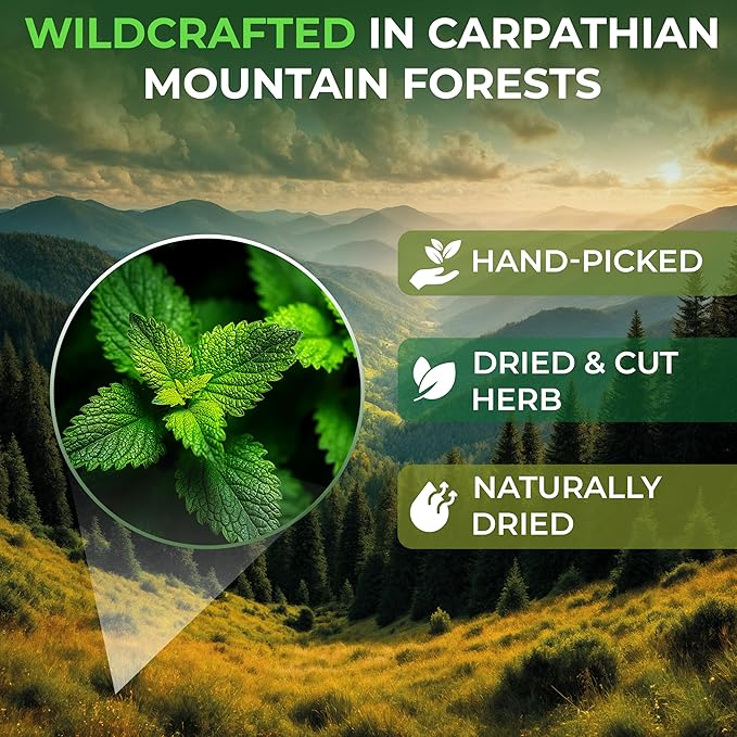 30 Bags Catnip Tea Catnip Herb Tea (Nepeta L.) - 30 Count 1.5g Bags Cat Nip Leaf Herb Hierba Gatera