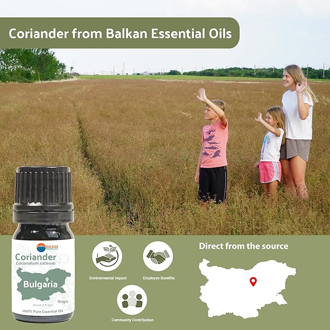 Coriander Essential Oil - Direct from Bulgarian Balkan Mountains - Steam Distilled - Aceite Cilantro for Aromatherapy, Massage, Diffuser, DIY Candle and Soap Making - 5ml