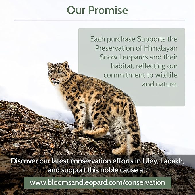 Blooms & Leopard Premium Herbal Tea Bags | The Laidback Elephant Blend | Rooibos, Apple, Lemongrass, Lemon Peel & Coconut Flakes | Caffeine-Free Herbal Infusion for Relaxation, Detox & Wellness | 20 Pyramid Tea Bags