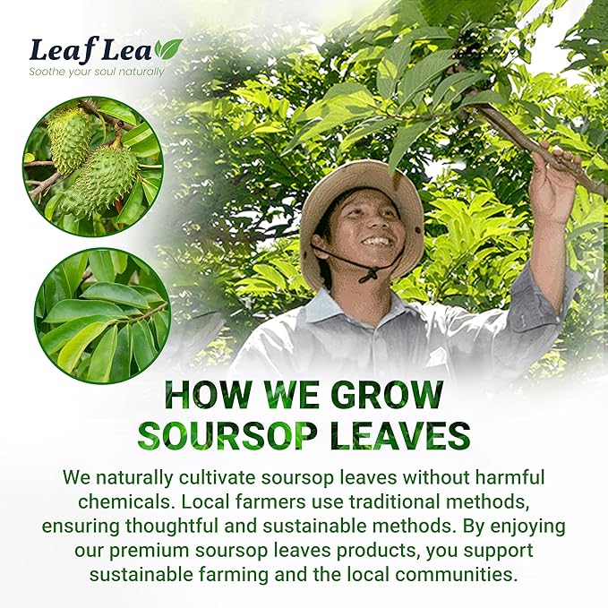 LeafLea 160 Premium Soursop Tea Bags, Natural & Pure Sour sop Graviola Tea Leave, Hoja Guanabana Leaf Herbal Tea Bags Variety Pack of 4, Digestive Support, Nutrient-Rich, Vegan, Sugar/Caffeine Free