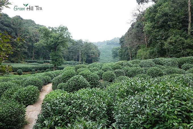 Greenhilltea Dragon Well green tea, a classic Chinese Green tea distinguished by its color, shape and taste- 4 OZ Bag