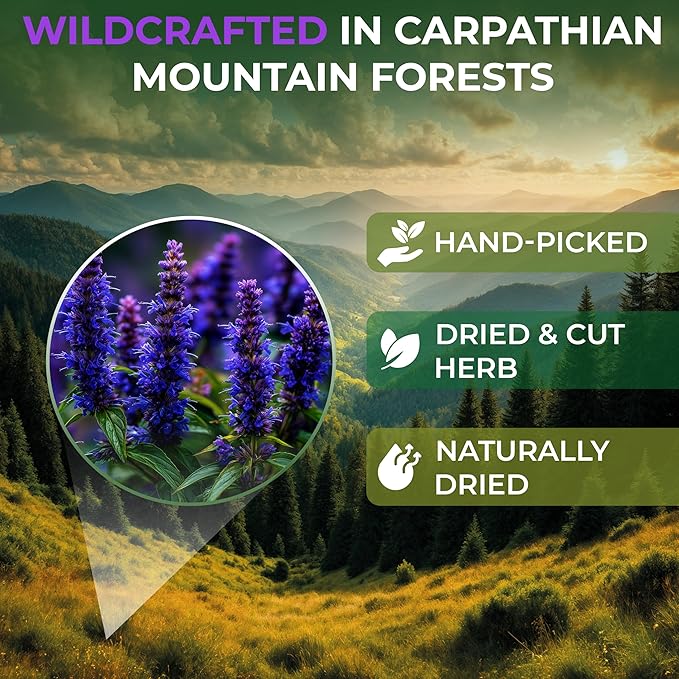 50 Bags Hyssop Dried Herb Hyssop Tea Herbal (Hyssópus Officinális) - 50 Count 1.5 g Tea Bag Herb Hyssops Hissop Hysopp Hisopo