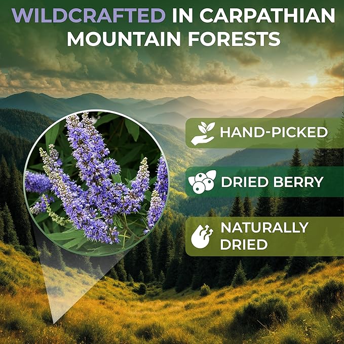 50 Bags Chaste Tree Berry Сhasteberry Tea Vitex Tea Herb (Vitex Agnus-Castus) - 50 Count 2 g Bags Chaste Tree Berry Herbal Vitex Sauzgatillo