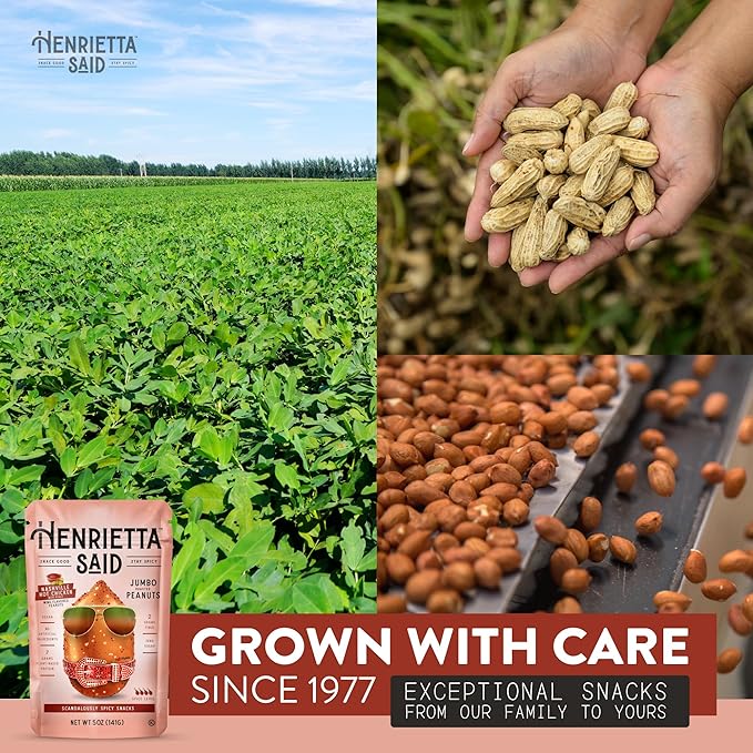 Henrietta Said Wing-Flavored Peanuts - Truly Good Foods Snacking Nuts - Bold Flavors - Savory & Spicy Jumbo Flavored Peanuts - Vegan Snack -(5-oz) - Nashville Hot Chicken With Pickle