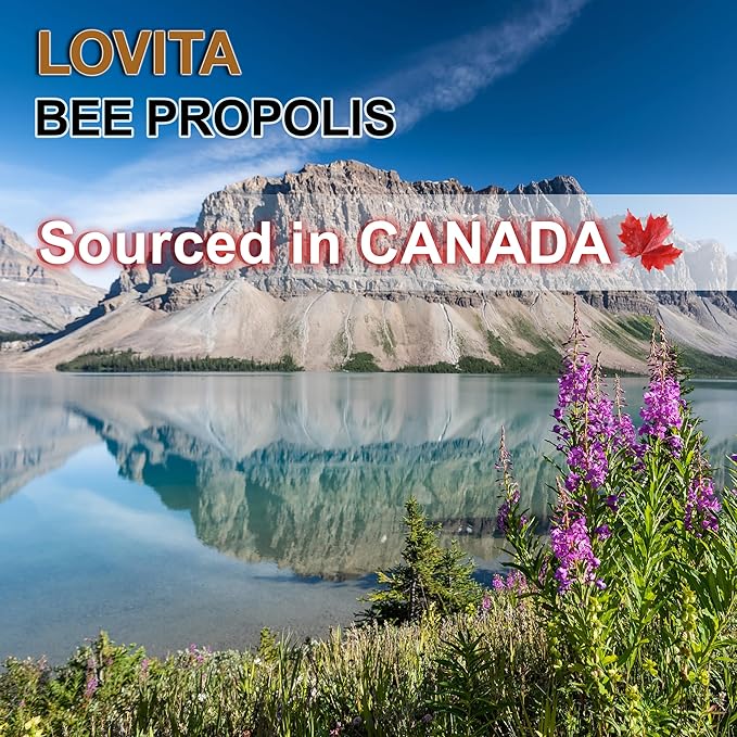 Lovita Bee Propolis Throat Spray, 18% Bioflavonoids, Alcohol-Free, Immune Support, Throat Soothing, Antioxidant, Gentle Taste, 1 Fl Oz (Pack of 3)