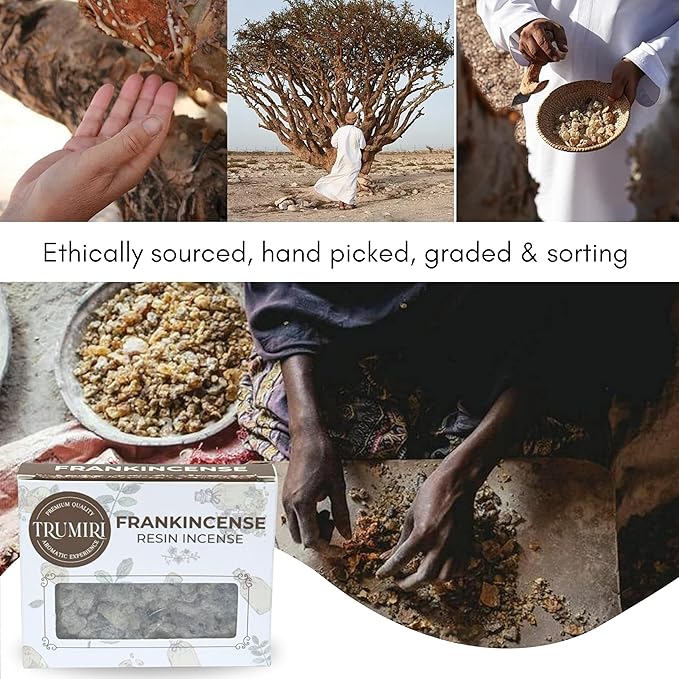 Frankincense Resin Incense for Church - Natural Tree Gum Sap - 30g Pack