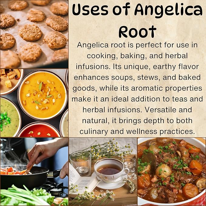 Herbs Botanica Angelica Root Loose Cut and Sifted Angel of Herbs Angelica Archangelica Angelica Herb for Herbal Tea, Baking Add to Tea Blends 3.5 oz