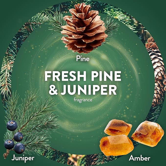 Air Wick Plug in Scented Oil Refill, 5 ct, Fresh Pine and Juniper, Air Freshener, Essential Oils, Fall Scent, Fall decor