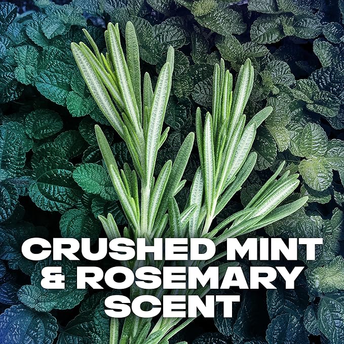 Axe Body Spray Deodorant For Long Lasting Odor Protection, Phoenix Deodorant For Men Formulated Without Aluminum 4oz 4 Count