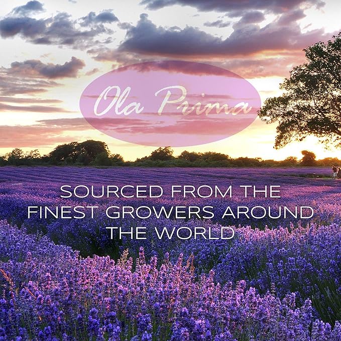 Ola Prima Lavender Essential Oil 8 Fluid Ounces - Aromatherapy